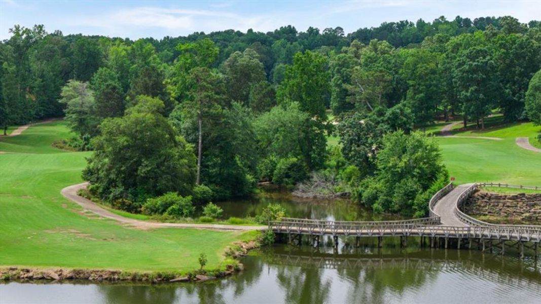 Natural landscape and outdoor views near Fairway 17 at Mirror Lake in Villa Rica (Image 49).