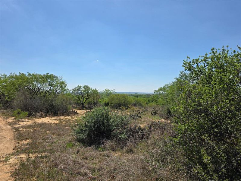 Natural landscape and outdoor views near  in San Saba (Image 30).