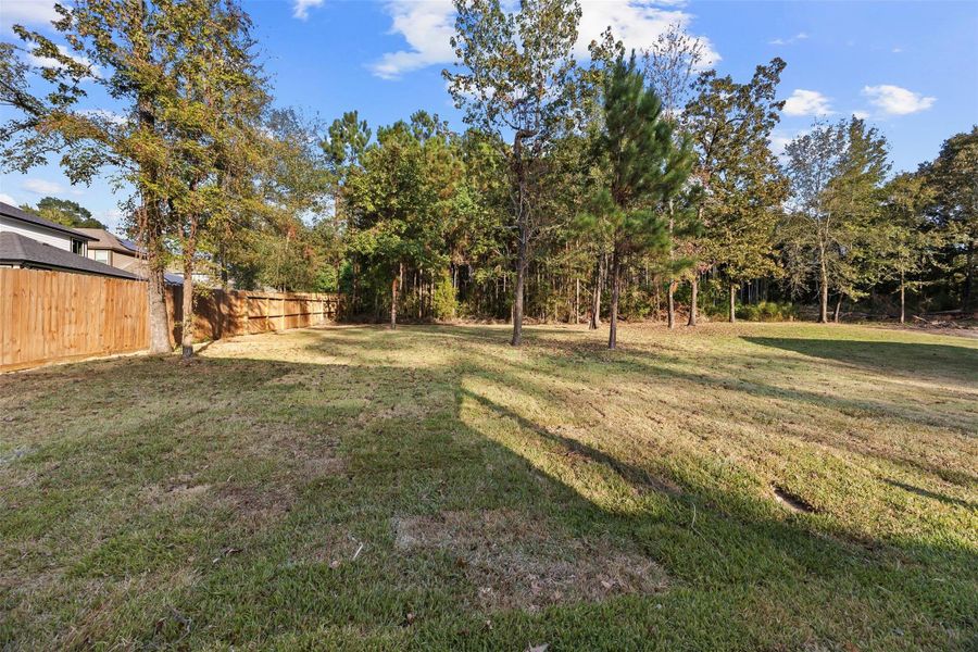 Natural landscape and outdoor views near  in Willis (Image 29).