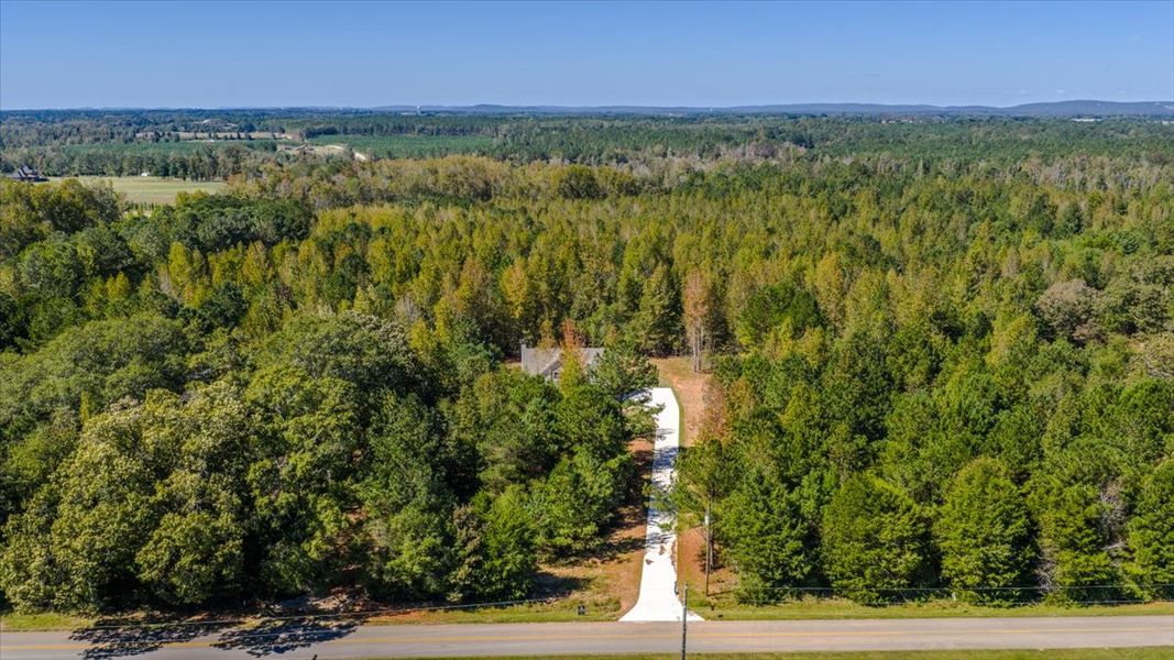 Natural landscape and outdoor views near Collier Grove in Thomaston (Image 39).