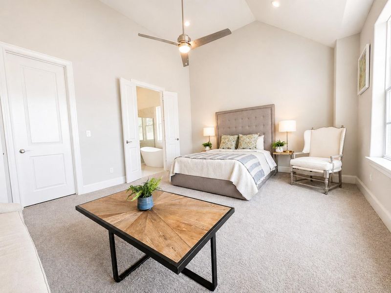 HIGH vaulted ceiling in this primary primary bedroom, large enough for a sitting area!