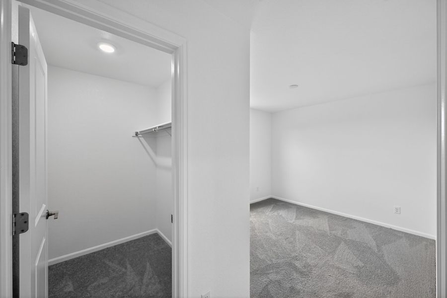 Spacious, unfurnished interior of a new home in Lake Bluff, Greeley (Image 39). Spacious, unfurnished interior of a new home in Lake Bluff, Greeley (Image 39).