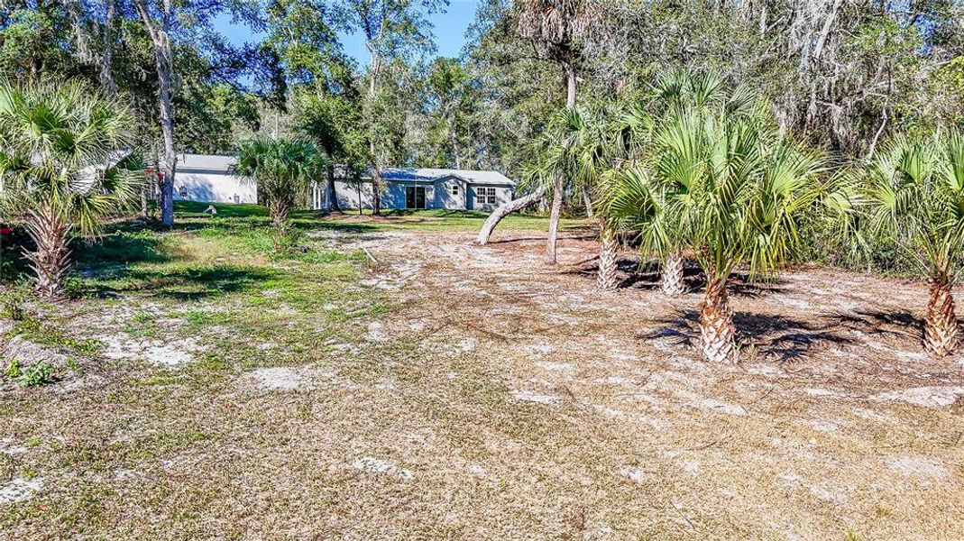 Natural landscape and outdoor views near  in Ocklawaha (Image 33).