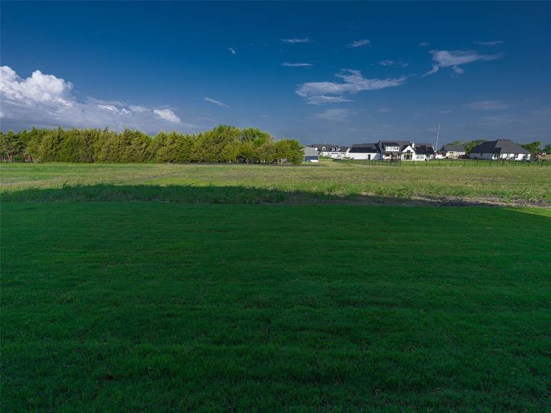 View of green lawn View of green lawn