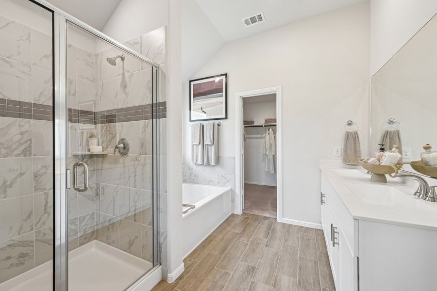 Owner's Bathroom