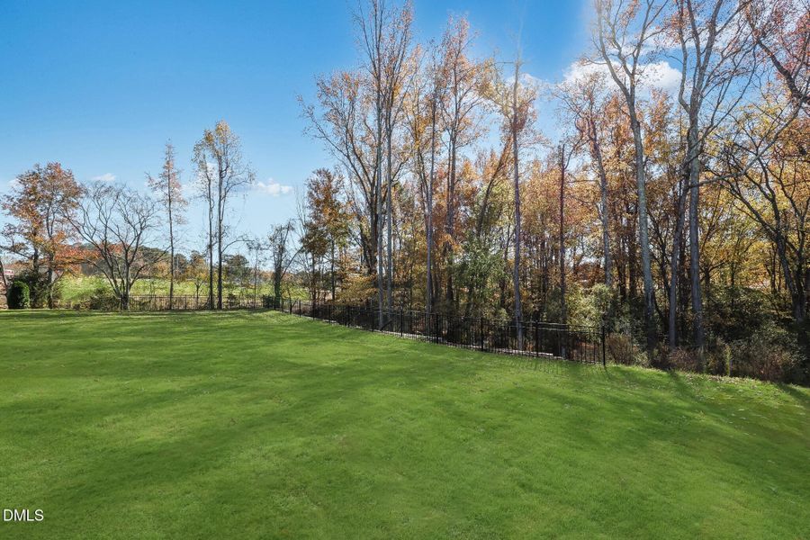 SUN_Everlee_Pic_MayflowerIII_Back_3of3