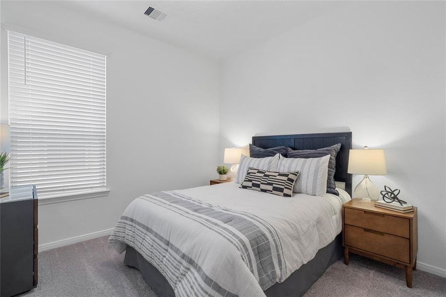 Secondary bedroom features plush carpet, high ceilings, and a large window with privacy blinds.