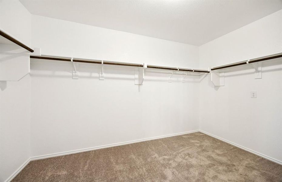 Owner's closet Owner's closet