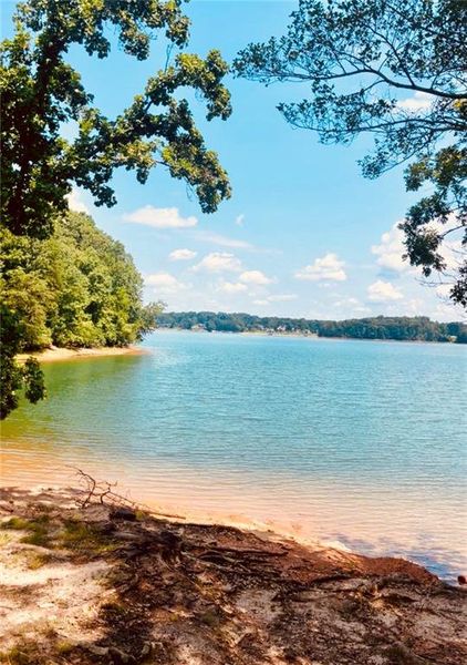 Natural landscape and outdoor views near  in Gainesville (Image 30).