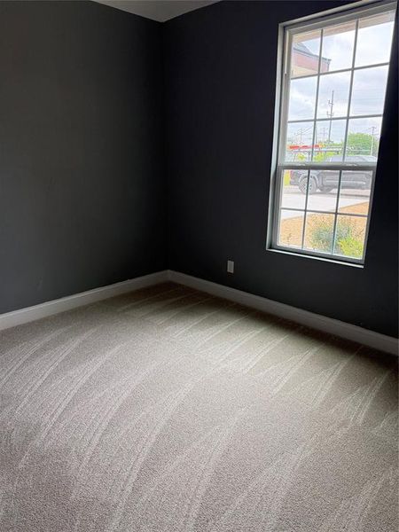 Windowed room featuring dark walls, light-toned carpet, and white baseboards