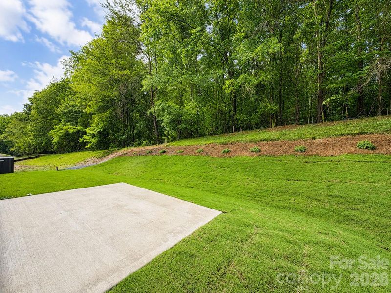 Natural landscape and outdoor views near Farms at Bellingham in Mooresville (Image 29). Natural landscape and outdoor views near Farms at Bellingham in Mooresville (Image 29).