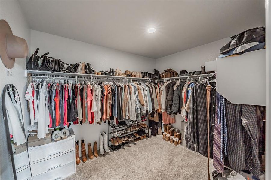 Spacious walk-in closet featuring built-in wire shelving, overhead recessed lighting, and carpet flooring