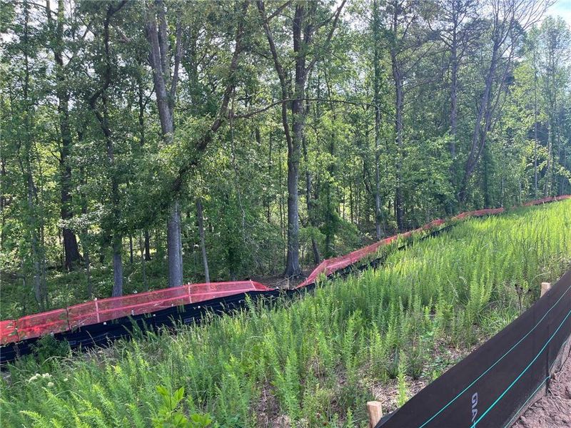Natural landscape and outdoor views near Linden Grove in Powder Springs (Image 37).