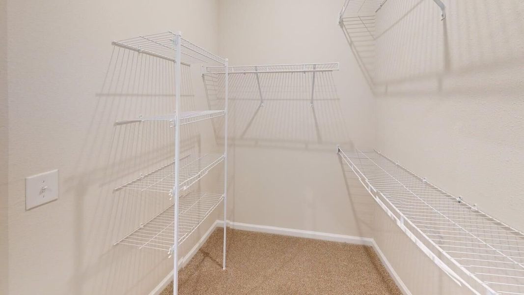 Spacious, unfurnished interior of a new home in RiverTown - Forest, St. Johns (Image 7).