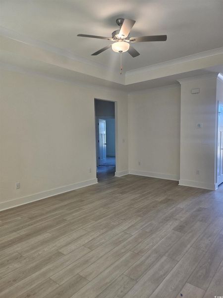 Spare room with light wood finished floors, a raised ceiling, ceiling fan, and ornamental molding Spare room with light wood finished floors, a raised ceiling, ceiling fan, and ornamental molding