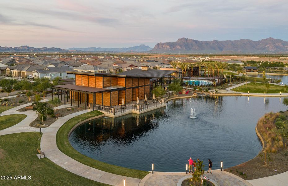 The Dutch - 4 The Dutch - 4