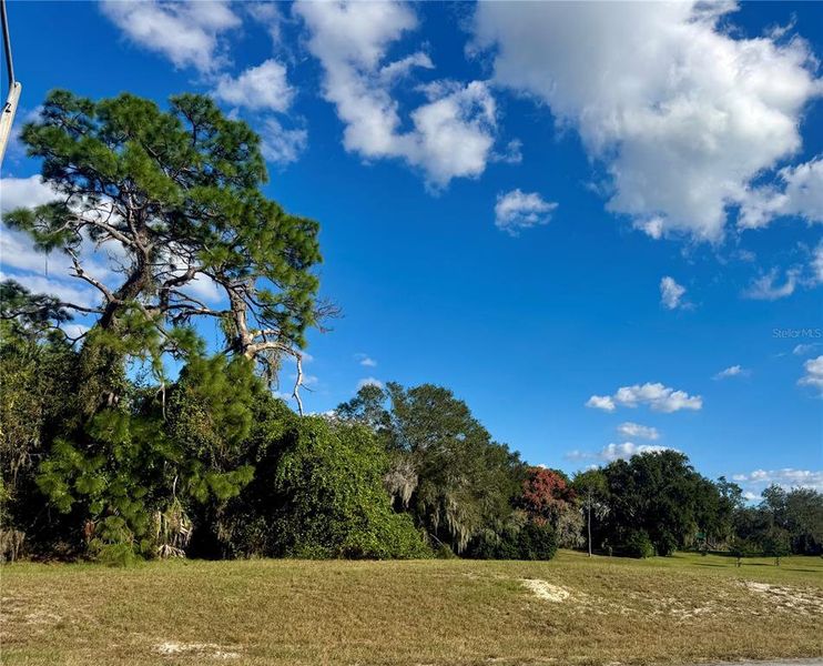 Natural landscape and outdoor views near in Tarpon Springs (Image 24). Natural landscape and outdoor views near in Tarpon Springs (Image 24).