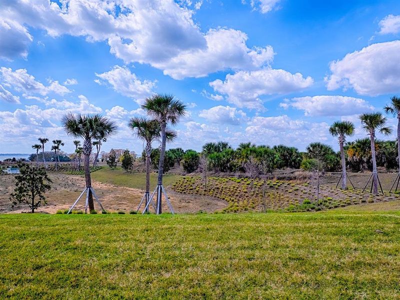 Natural landscape and outdoor views near  in Tavares (Image 40).
