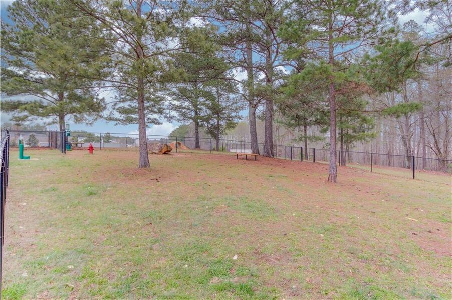 Natural landscape and outdoor views near Twin Lakes in Hoschton (Image 26).