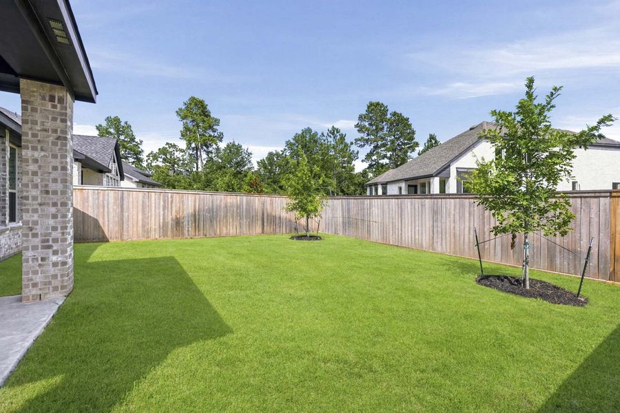 Backyard