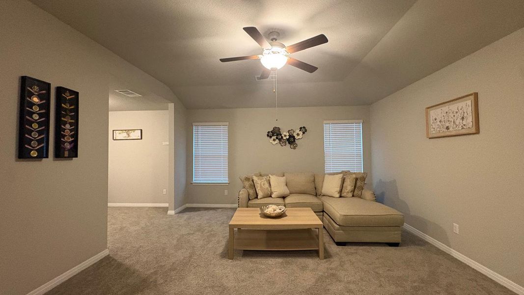 Plush carpet and a tray ceiling create a cozy living space, perfect for relaxation.