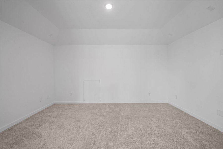 This bonus media room is designed for immersive entertainment and movie nights at home! Just grab the popcorn.