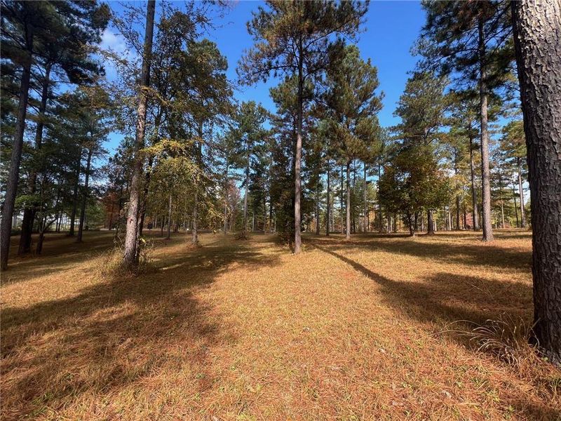 Natural landscape and outdoor views near  in Eatonton (Image 23).