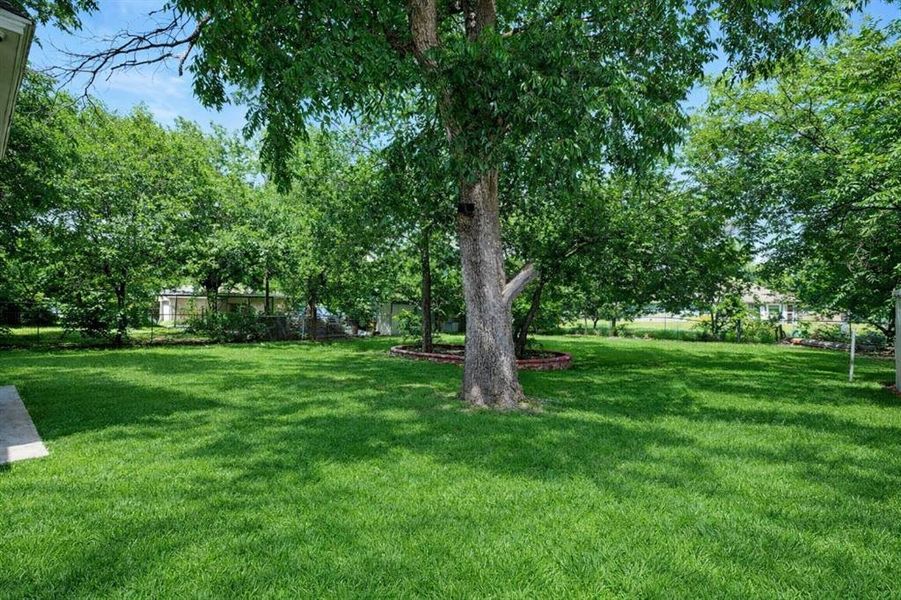 Natural landscape and outdoor views near  in Mineral Wells (Image 17).