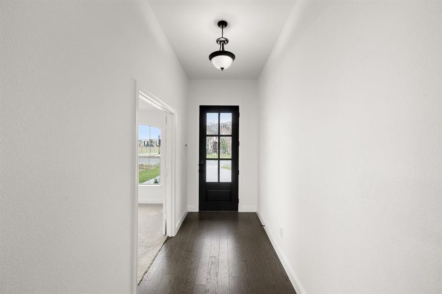 7725 Sweet Sorghum- Entry