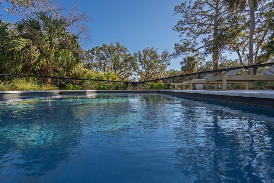 Natural landscape and outdoor views near in Edisto Island (Image 57). Natural landscape and outdoor views near in Edisto Island (Image 57).