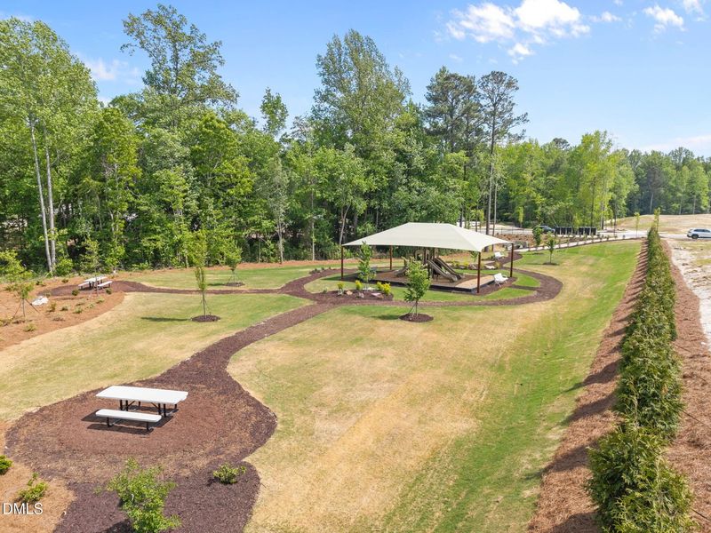 Community amenities in Wendell Ridge, Wendell (Image 35). Community amenities in Wendell Ridge, Wendell (Image 35).