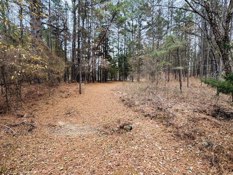 Natural landscape and outdoor views near  in Powderly (Image 11).