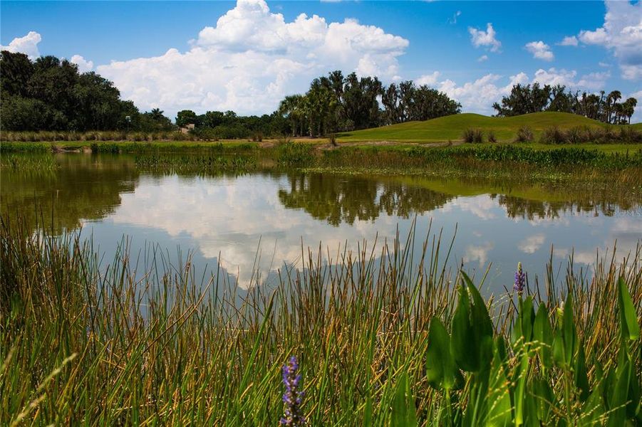 Natural landscape and outdoor views near  in Fort Myers (Image 28).