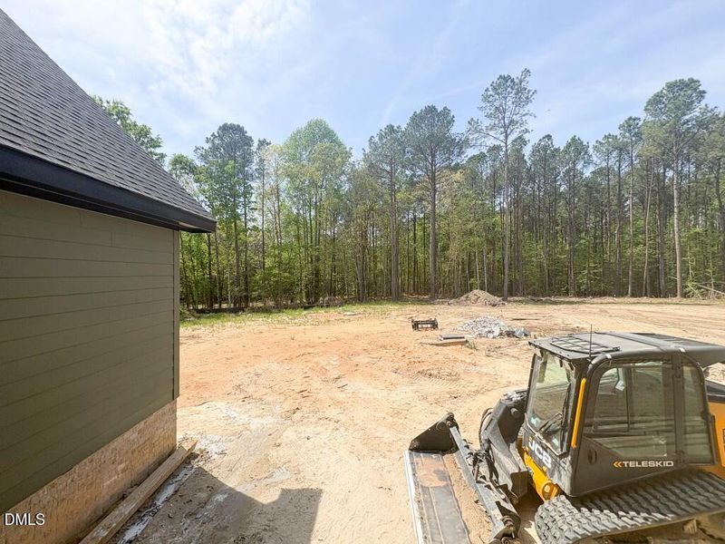 Photo Apr 13 2026, 2 24 00 PM (Medium)