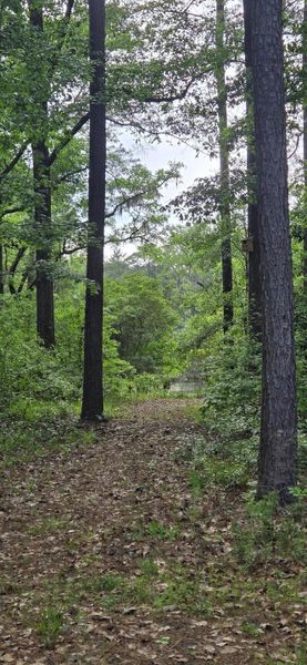 Natural landscape and outdoor views near  in Seabrook (Image 28).