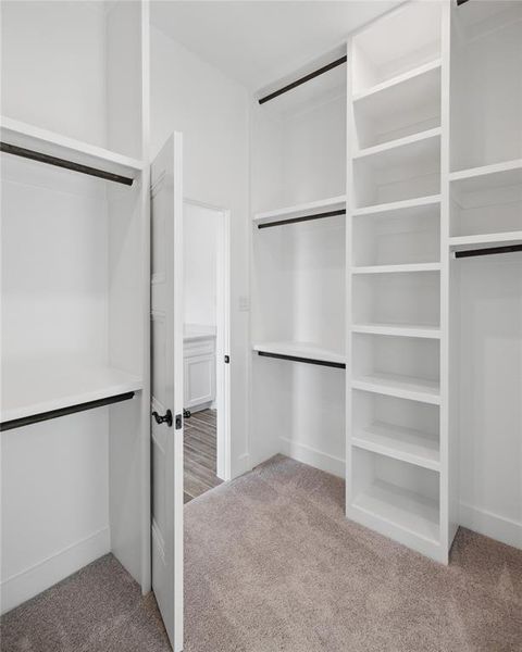 Spacious closet featuring light colored carpet