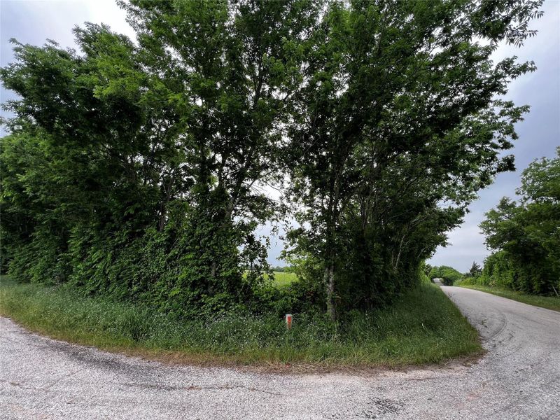 Natural landscape and outdoor views near  in Brenham (Image 6).
