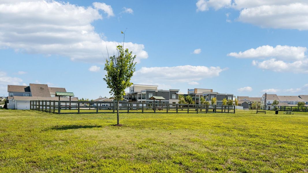 Community amenities associated with the BRYAN A by D.R. Horton in Harvest Point, Spring Hill (Image 6).