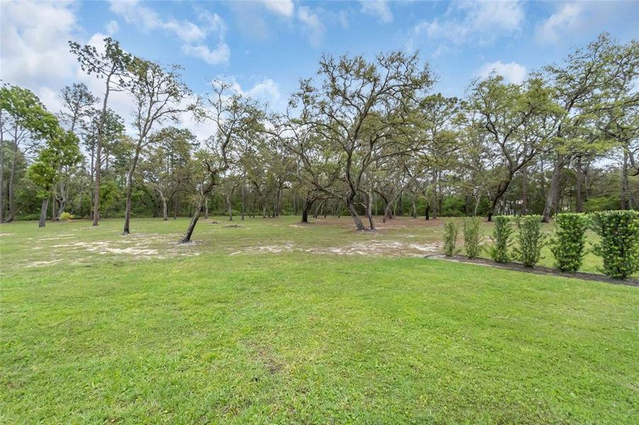 Natural landscape and outdoor views near in Kissimmee (Image 54). Natural landscape and outdoor views near in Kissimmee (Image 54).