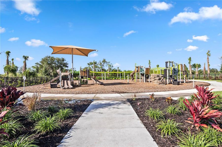 Community amenities in Star Farms at Lakewood Ranch, Bradenton (Image 28).