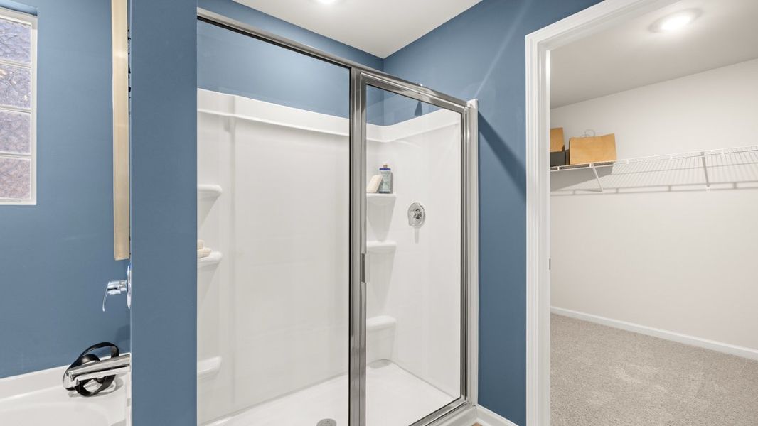 Representative interior finishes for a home built from the Hanover by D.R. Horton in Liberty Crossing, Braselton (Image 22).