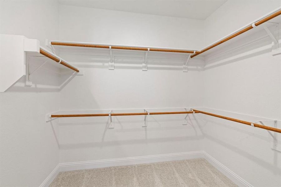 DAL_Painted Tree_Easton_3204 Vermilion Street (22) DAL_Painted Tree_Easton_3204 Vermilion Street (22)