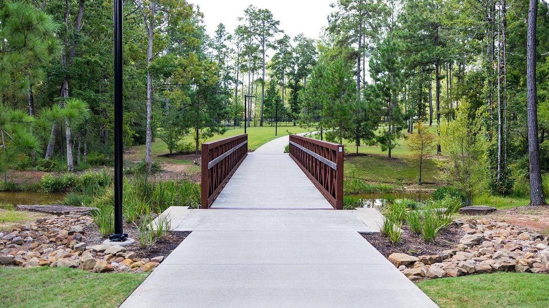 Natural landscape and outdoor views near The Woodlands Hills – 55' in Willis (Image 39).