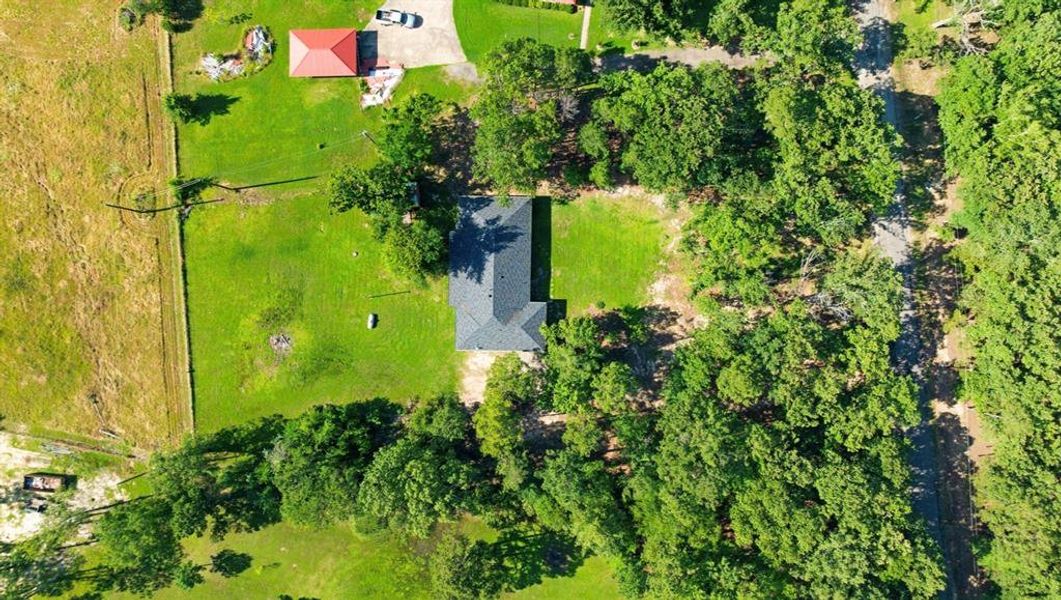 Natural landscape and outdoor views near  in Powderly (Image 21).