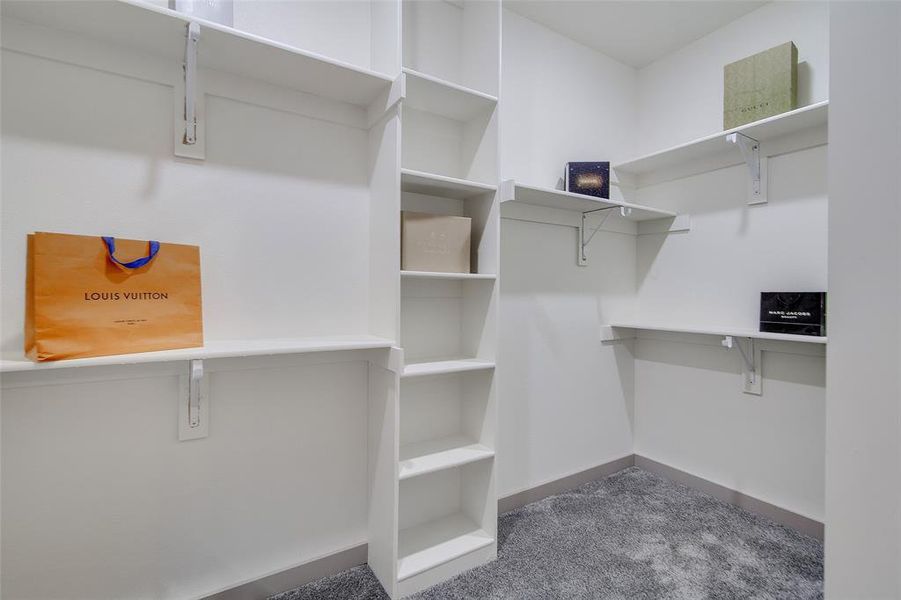 Spacious closet featuring carpet floors