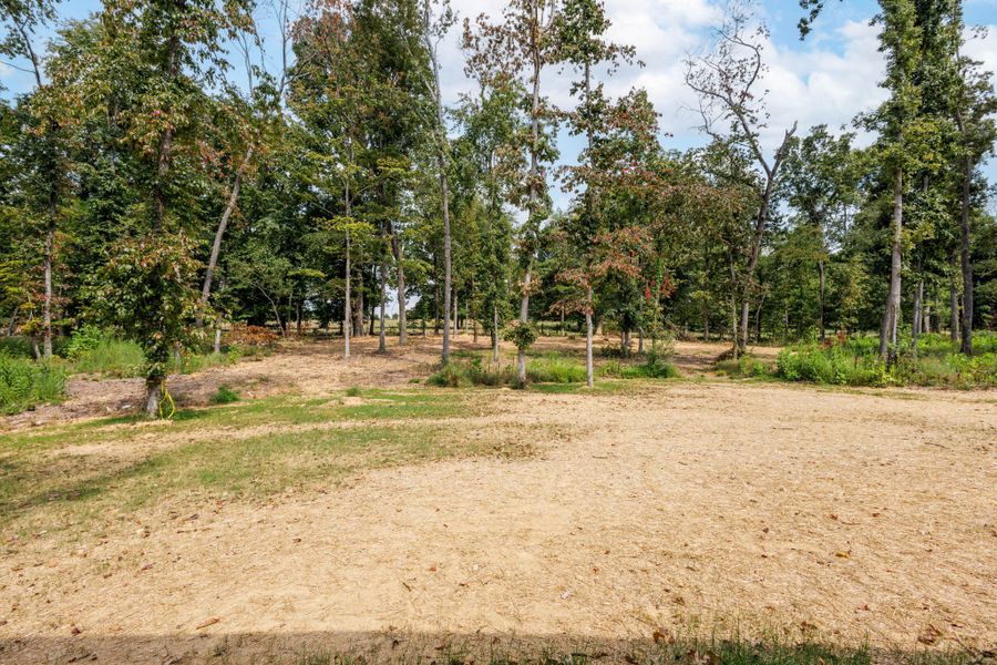 Natural landscape and outdoor views near Woodland Farms in Dickson (Image 27).