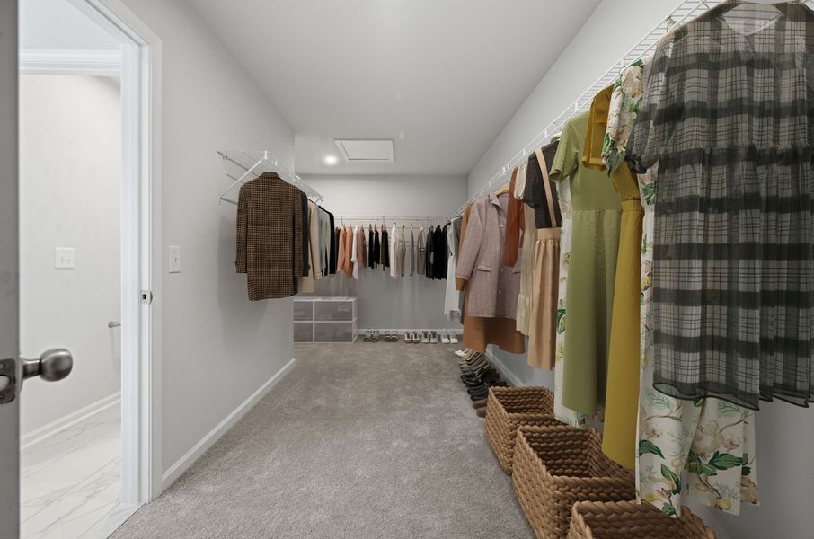 Primary Closet
