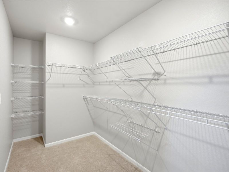 Spacious, unfurnished interior of a new home in Poudre Heights: The Lakes Collection, Windsor (Image 17). Spacious, unfurnished interior of a new home in Poudre Heights: The Lakes Collection, Windsor (Image 17).