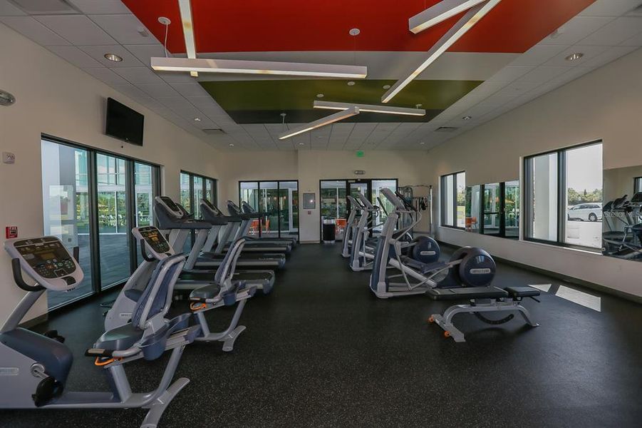 Community amenities in , Apollo Beach (Image 67).