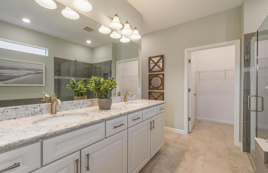 Owner's Bath